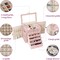 Jewelry Box For women, 6 Layer Large Jewelry Organizer With Mirror, Multi-Function Storage Box With Lock, Accessory Holder With 5 Drawers, For Earrings Necklace Ring Bracelet (Pink)